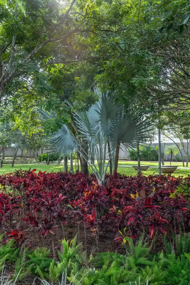 Amenidades JArdines del Sur Areas Verdes